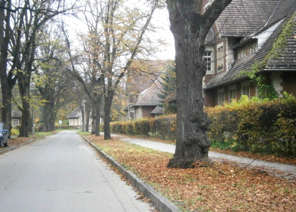 Buch Karower Straße seitw2