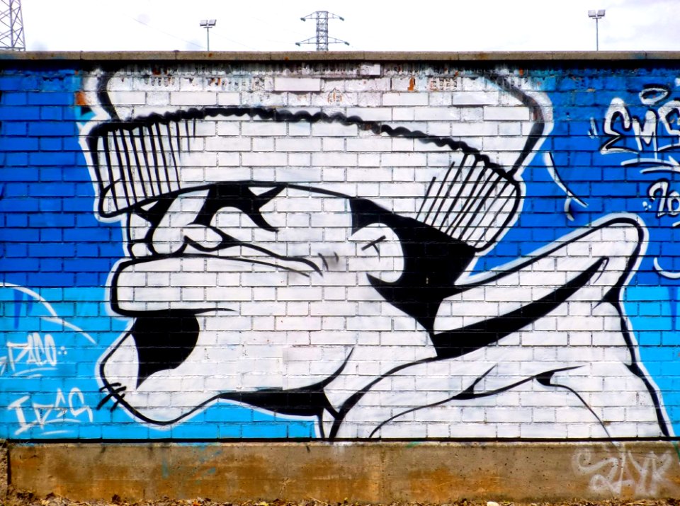 Burgos - Graffiti 024