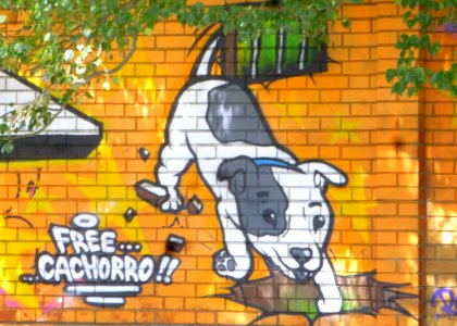Burgos - Graffiti 023