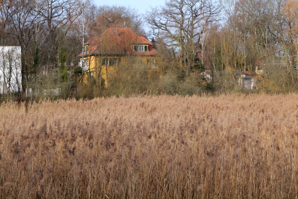 Buschgraben Kleinmachnow Zehlendorf 2021-02-24 13