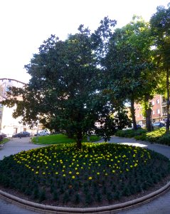 Burgos - Parque Doctor Vara 1