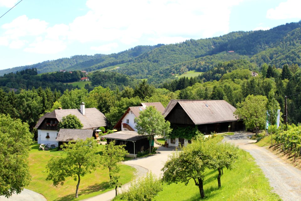 Buschenschank Stelzl - Altenbachklamm