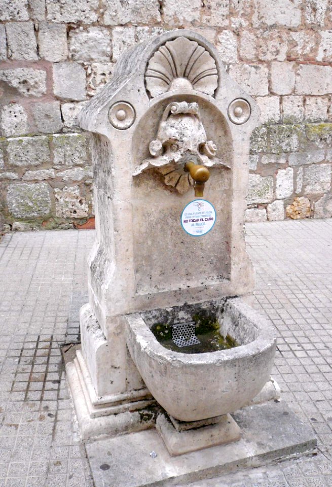 Burgos - Fuente 001