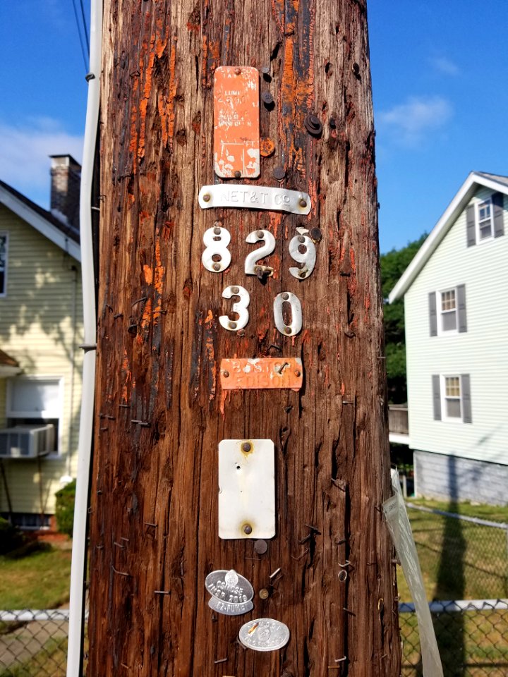 Bus stop - Utility pole - Arlington, MA - 20200709 082455