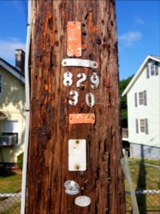 Bus stop - Utility pole - Arlington, MA - 20200709 082455