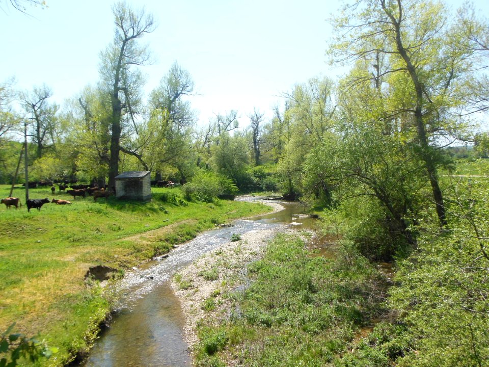 Burulcha 3