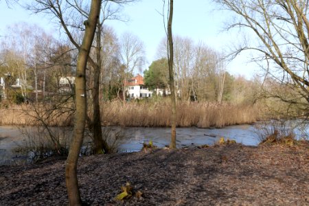 Buschgraben Kleinmachnow Zehlendorf 2021-02-24 07