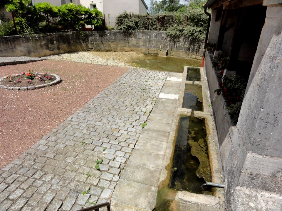 Burthecourt-aux-Chênes (M-et-M) lavoir et gayoir (04)