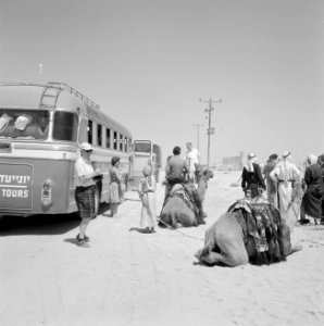 Bus met toeristen is in de woestijn bij Beersjewa gestopt om de passagiers geleg, Bestanddeelnr 255-3464 photo