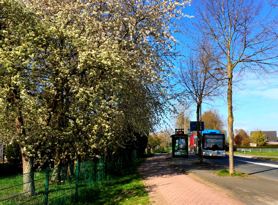 Bus to Arnhem in Bemmel