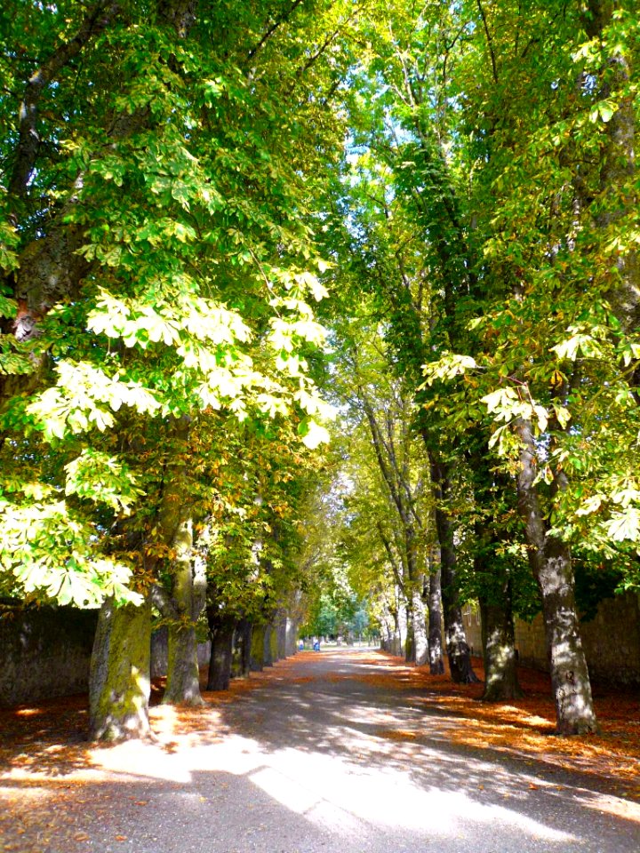Burgos - Parque del Parral 2