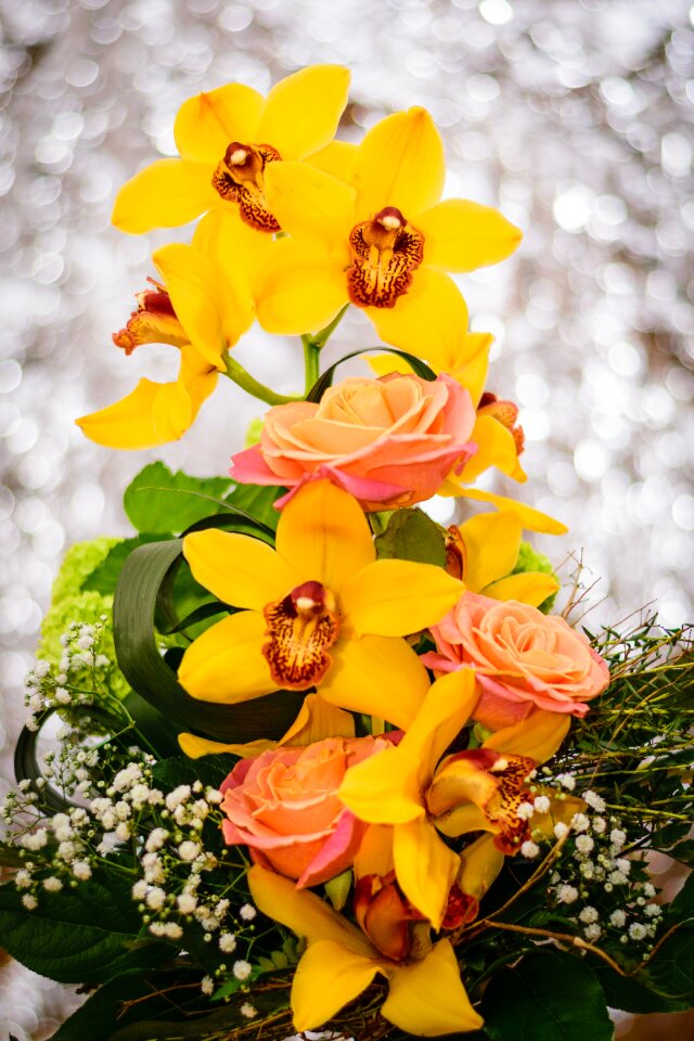 Bouquet of flowers beautiful isolated