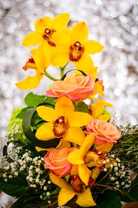 Bouquet of flowers beautiful isolated
