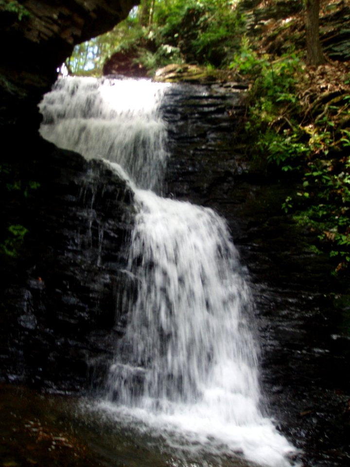 Bushkill Falls, PA 2
