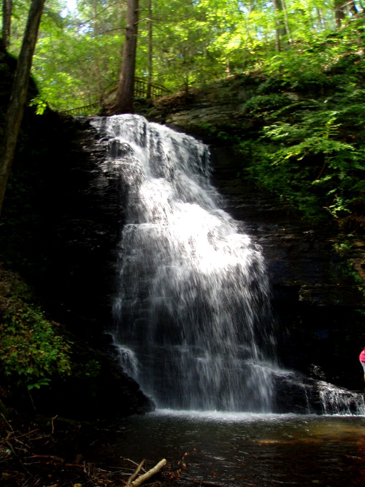 Bushkill Falls, PA 4