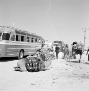 Bus met toeristen is in de woestijn bij Beersjewa gestopt om de passagiers geleg, Bestanddeelnr 255-3465