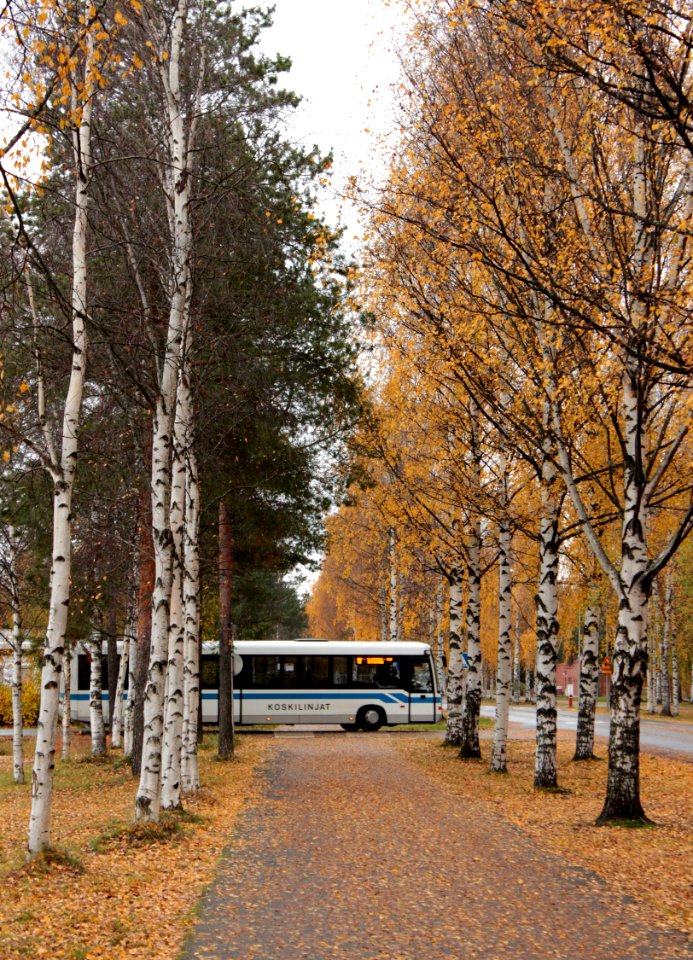 Bus Linnanmaa Oulu 20121007