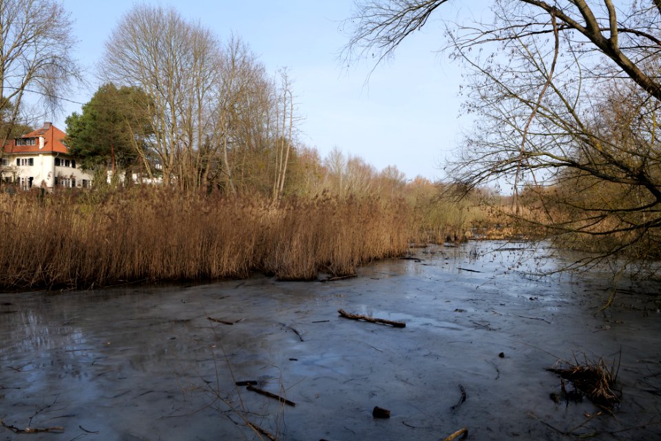 Buschgraben Kleinmachnow Zehlendorf 2021-02-24 01
