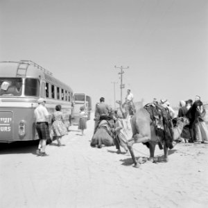 Bus met toeristen is in de woestijn bij Beersjewa gestopt om de passagiers geleg, Bestanddeelnr 255-3463 photo