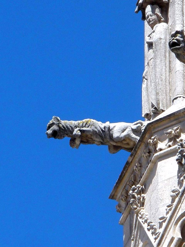 Burgos - Catedral 199a