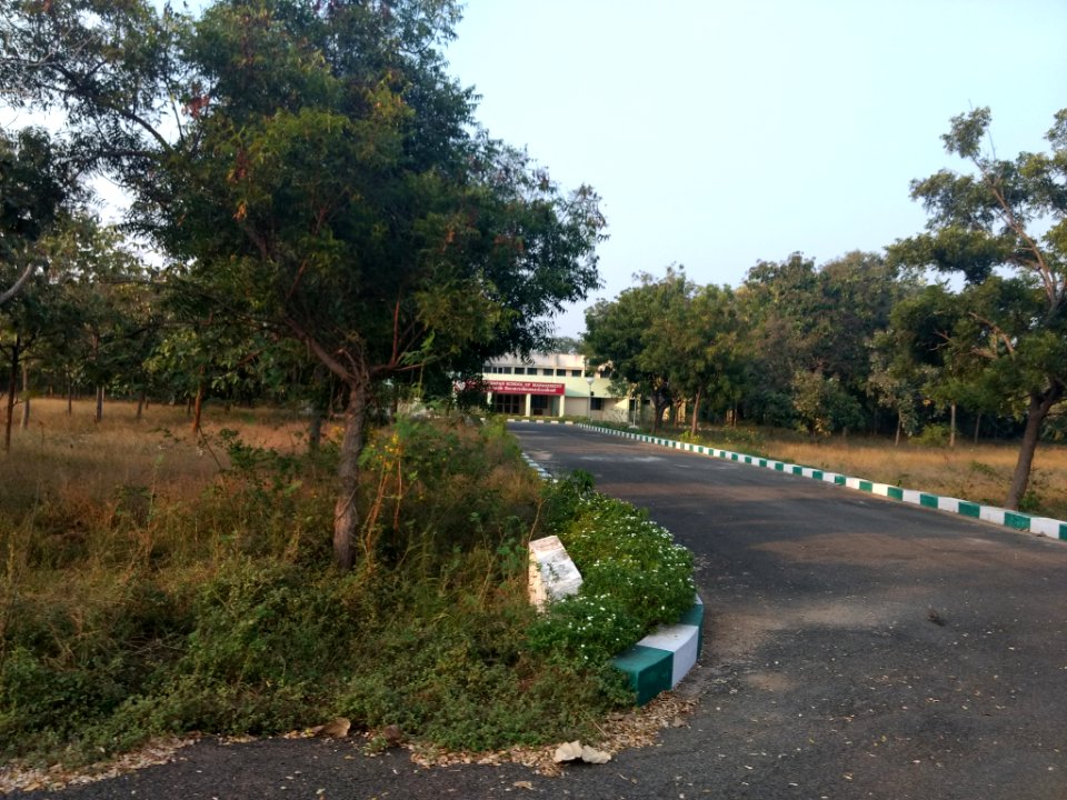 Burstcover Top (243899197)