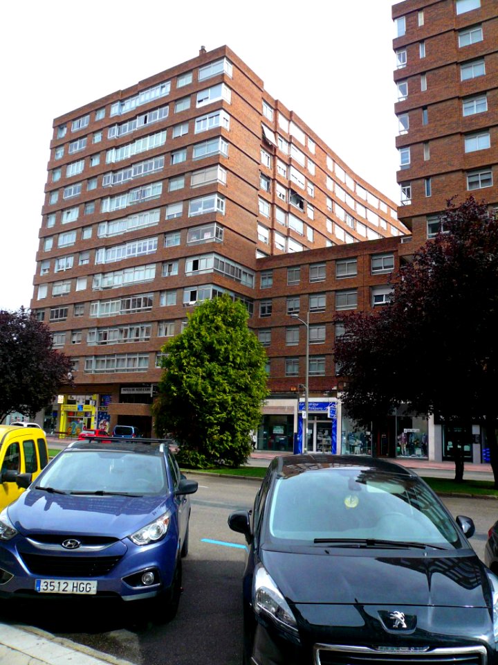 Burgos - Avenida de la Paz 02