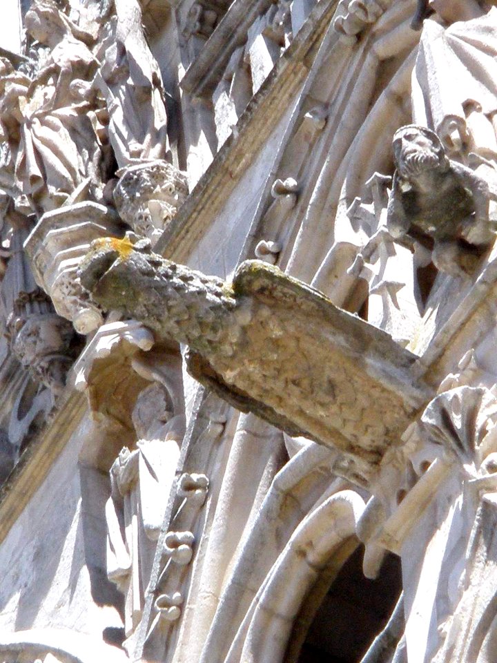 Burgos - Catedral 198