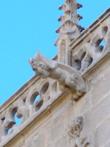 Burgos - Catedral 175
