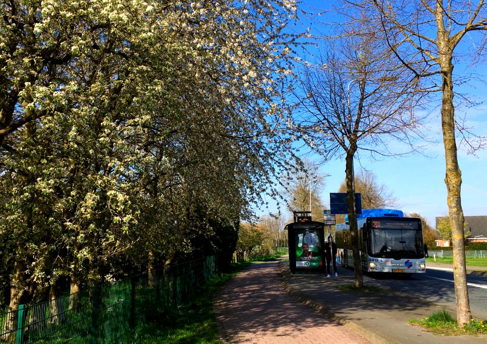 Bus stop in Bemmel