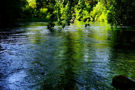 Green blue shimmer photo