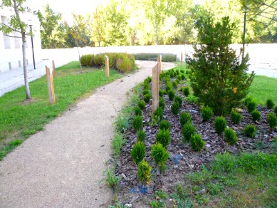 Burgos - Los Árboles de la Sabiduría (UBU) 05