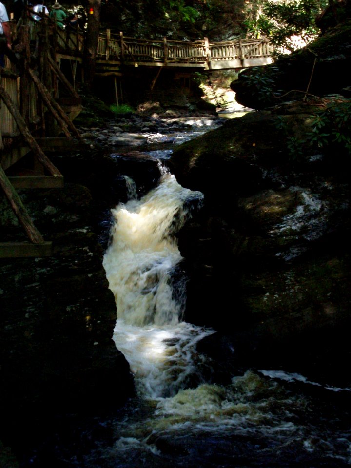 Bushkill Falls, PA 1