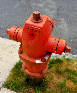 Bury 5-6 Watrous fire hydrant - Arlington, MA - 20200802 090612