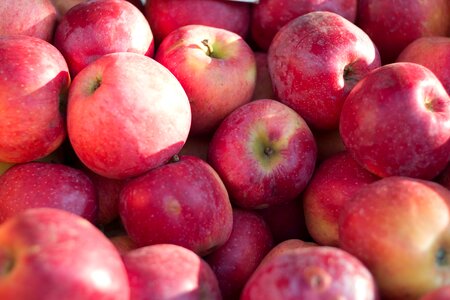 Food red apple ripe