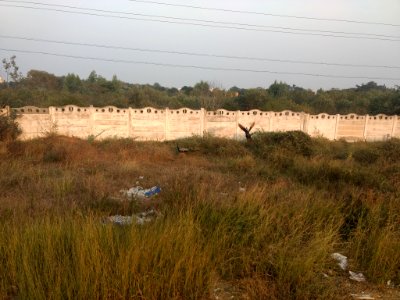 Burstcover Top (243899193)