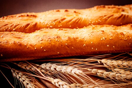 Bread baguette food photo