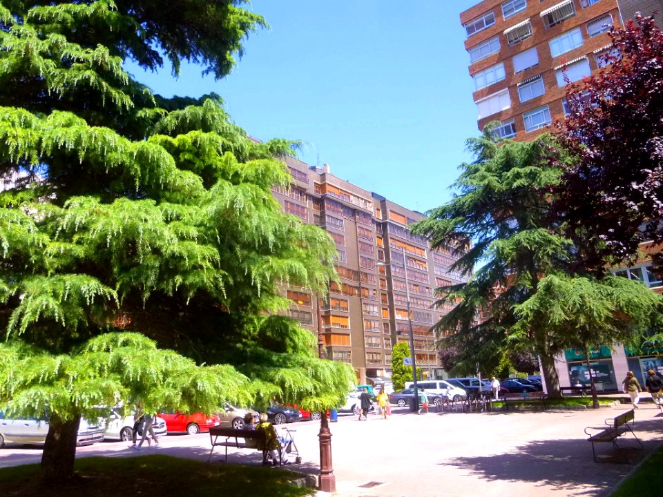 Burgos - Avenida de la Paz 1