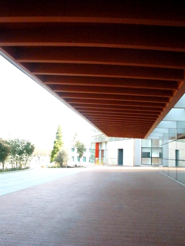 Burgos - Museo de la Evolución Humana (MEH) 13