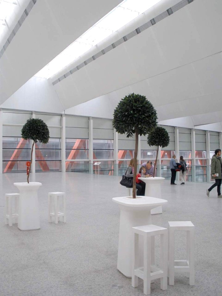Burgos - Museo de la Evolución Humana (MEH), interiores 16