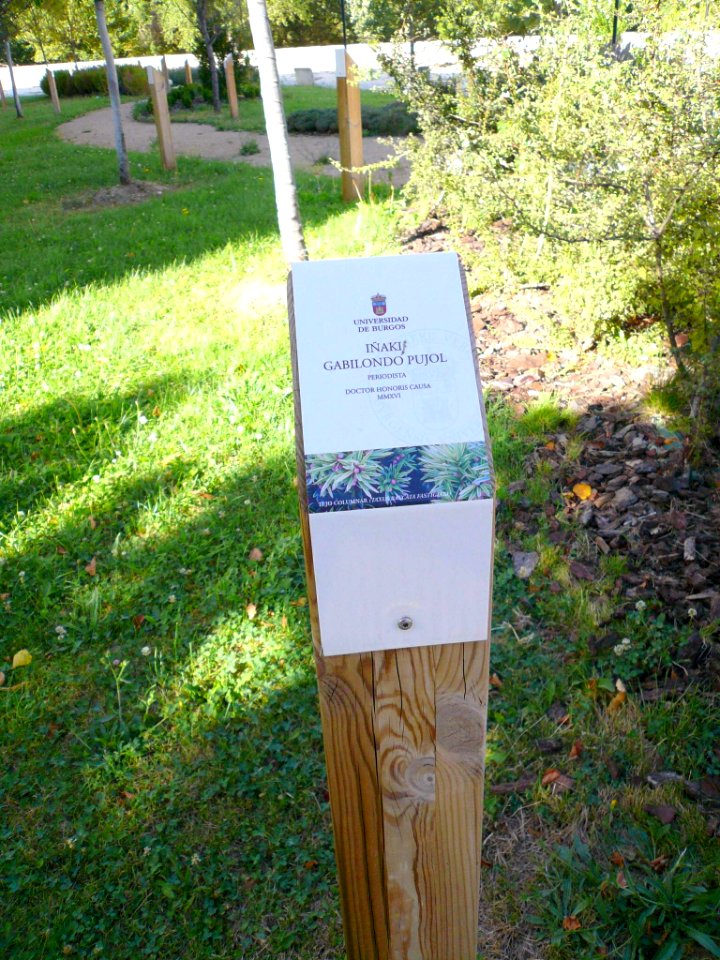 Burgos - Los Árboles de la Sabiduría (UBU) 08