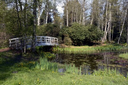 Water nature landscape