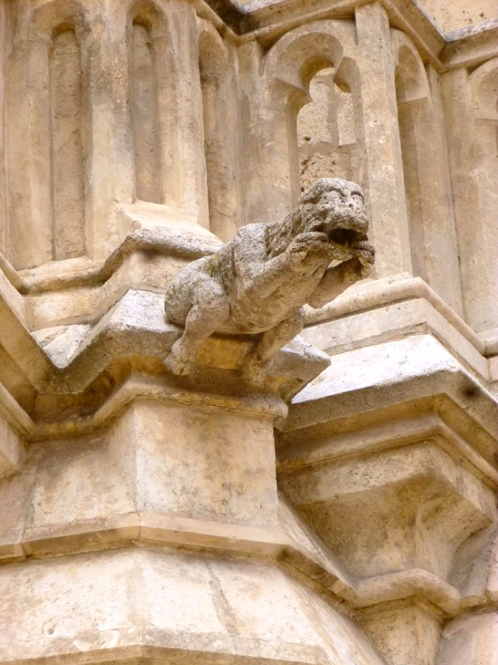 Burgos - Catedral, gárgola 1