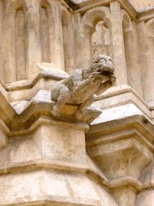 Burgos - Catedral, gárgola 1