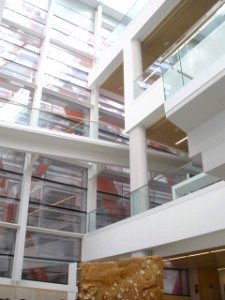 Burgos - Museo de la Evolución Humana (MEH), interiores 04