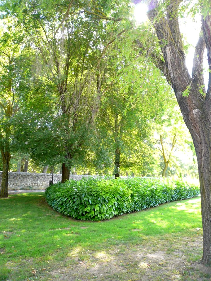 Burgos - Carretera de Logroño (Camino de Santiago) 07