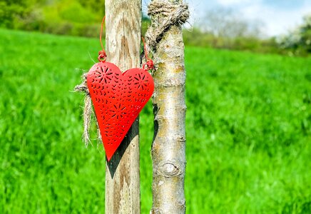 Romance love nature
