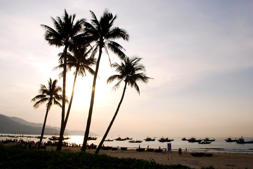 Coast the beach da nang sea