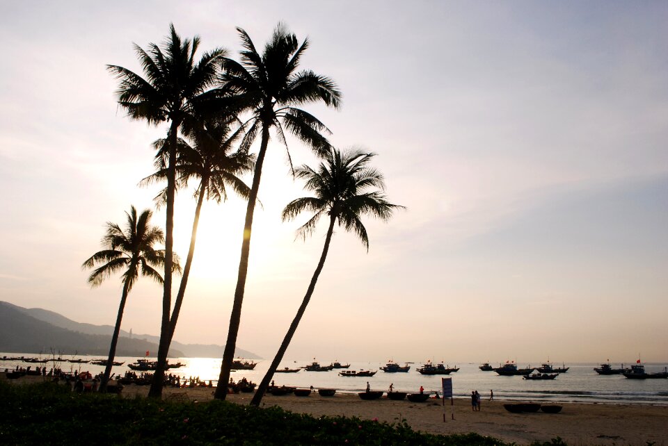 Coast the beach da nang sea photo