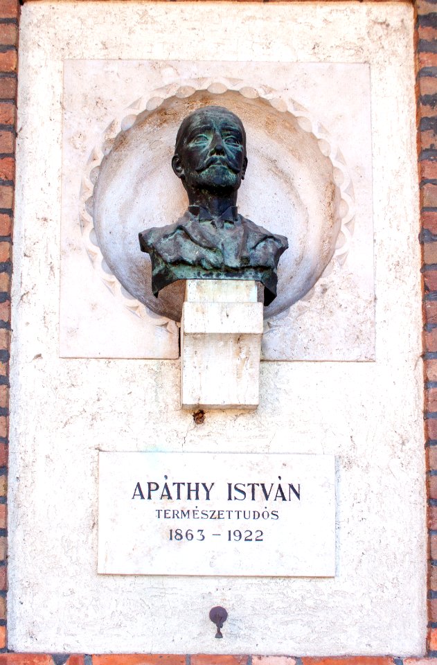 Bust of István Apáthy in the Szeged Pantheon