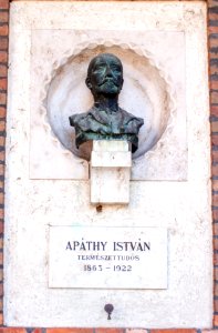 Bust of István Apáthy in the Szeged Pantheon